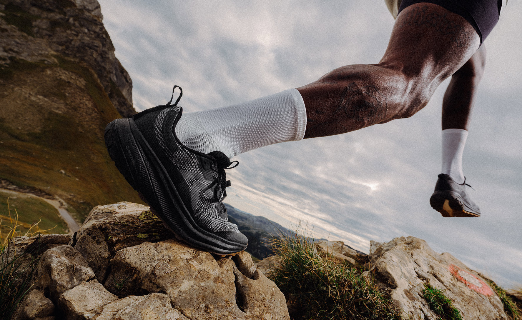 Men's Roam Trail Running Shoe | Birch/Brindle - Image 7