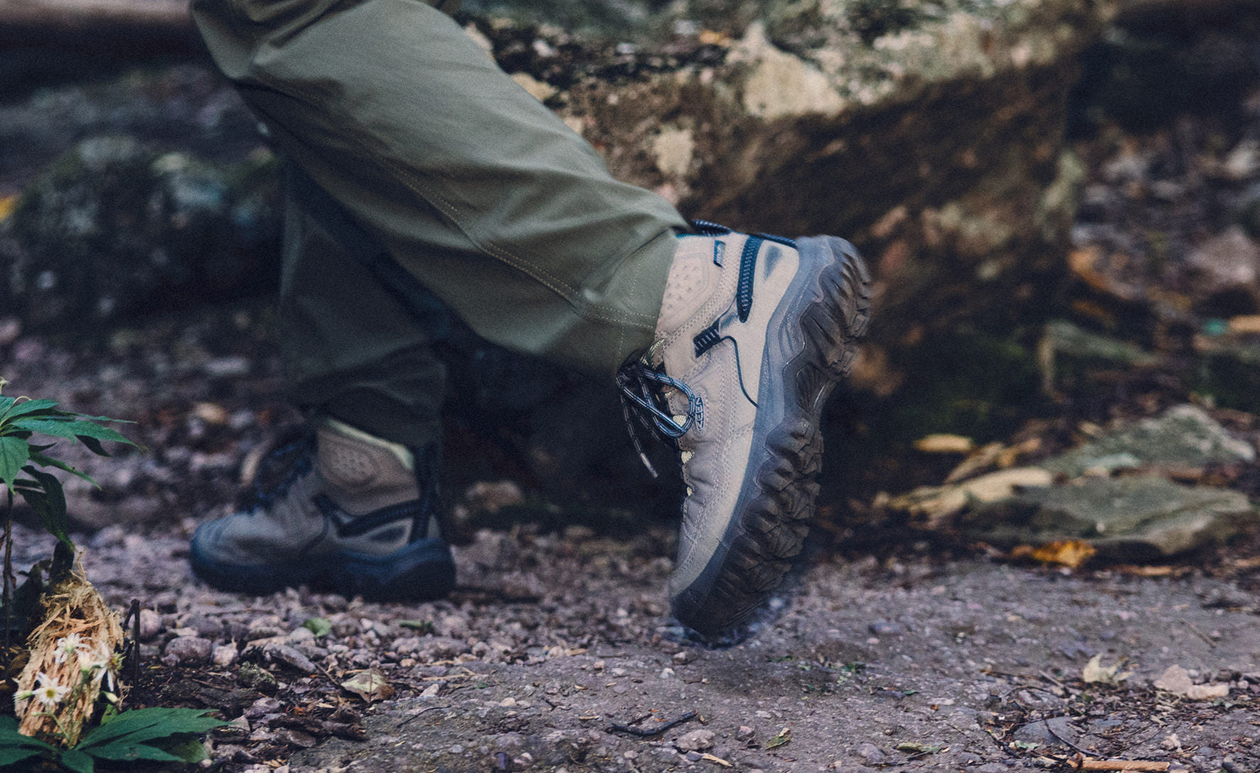 Women's Targhee IV Waterproof Hiking Boot | Steel Grey/Lily Pad - Image 7